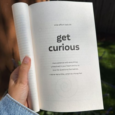 Wise Effort: How to Focus Your Genius Energy on What Matters Most - Diana Hill PhD [KSIĄŻKA]