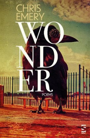 Wonder (Salt Modern Poets) - Chris Emery [KSIĄŻKA]