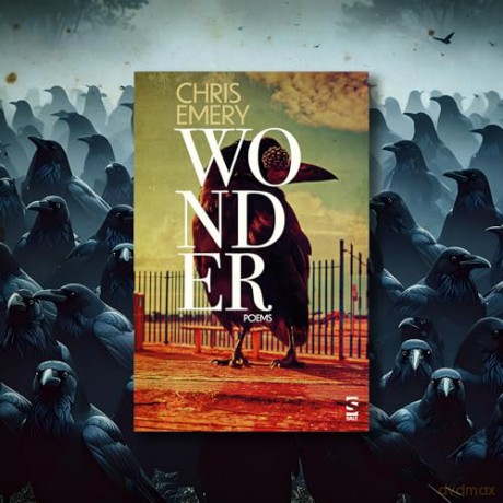 Wonder (Salt Modern Poets) - Chris Emery [KSIĄŻKA]