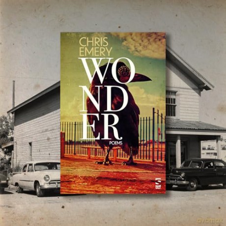 Wonder (Salt Modern Poets) - Chris Emery [KSIĄŻKA]