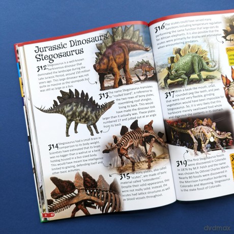 Wonders of Learning Omnibus - 500 Fantastic Facts - Dinosuars - Martin Ellick [KSIĄŻKA]