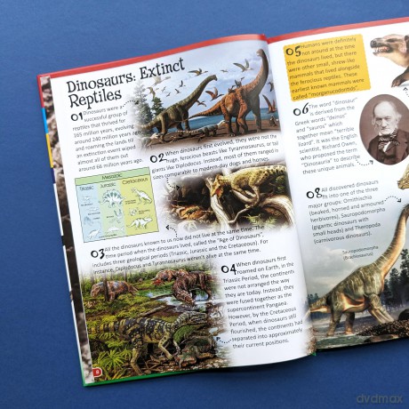 Wonders of Learning Omnibus - 500 Fantastic Facts - Dinosuars - Martin Ellick [KSIĄŻKA]