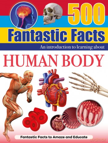 Wonders of Learning Omnibus - 500 Fantastic Facts - Human Body - Martin Ellick [KSIĄŻKA]
