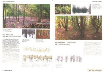 Woods go Urban - Three Landscape Laboratories in Scandinavia - A. Busse Nielsen [KSIĄŻKA]