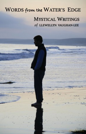 Words from the Water's Edge: The Mystical Writings of Llewellyn Vaughan-Lee the Mystical Writings of Llewellyn Vaughan-Lee - Llewellyn Vaughan-Lee [KSIĄŻKA]