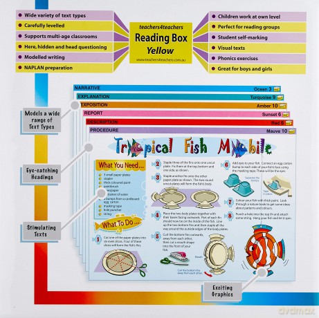 Yellow Level Reading Box Reading Ages 5.6 - 11 (The Reading Box) - Teachers4Teache [KSIĄŻKA]