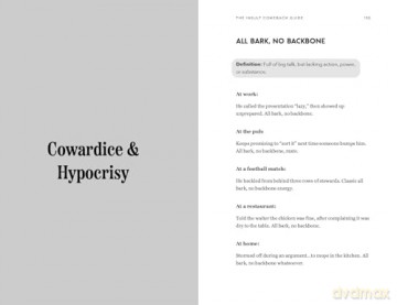 You Absolute Plonker: The Definitive Guide to British Insults (British - Michael Baker [KSIĄŻKA]