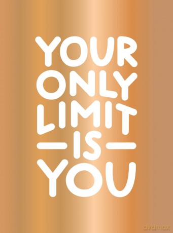 Your Only Limit Is You: Inspiring Quotes and Kick-Ass Affirmations to Get You Motivated [KSIĄŻKA]
