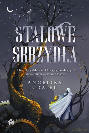 Stalowe skrzydła - Angelika Grajek [KSIĄŻKA]