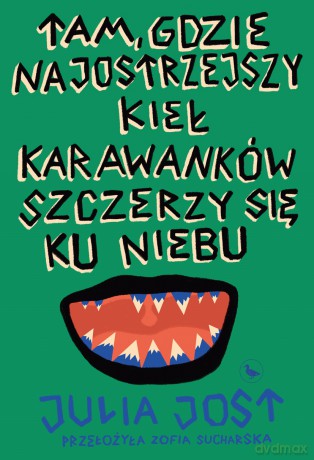 Tam, gdzie najostrzejszy kieł Karawanków szczerzy się ku niebu - Julia Jost [KSIĄŻKA]