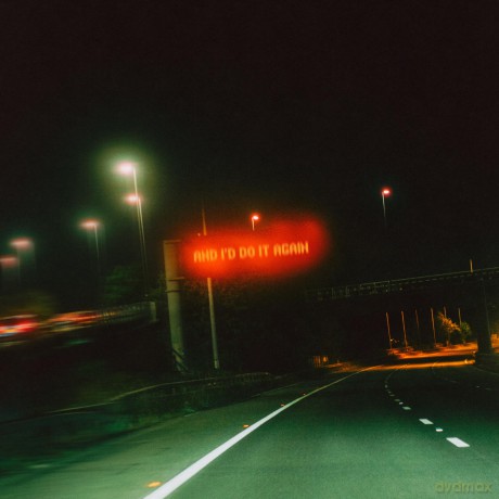 Only The Poets: And I'd Do It Again [Winyl]