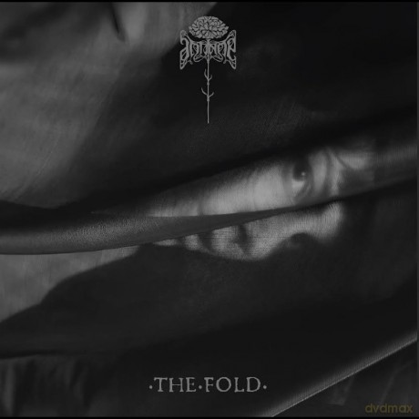 Antinoe: The Fold [CD]