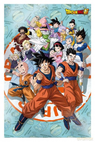 Dragon Ball Super 3D Poster Universe Survival 38 x 58 cm