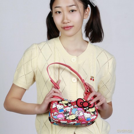 Sanrio Fancy Casual Handbag Hello Kitty Friends Multicolour