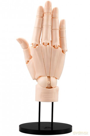 Takahiro Kagami PVC Artist Support Item Hand 1/1 Model/R Pale Orange 21 cm