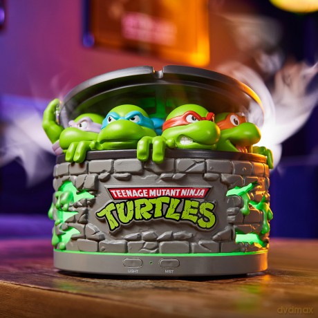 Teenage Mutant Ninja Turtles Air Freshener 13 cm