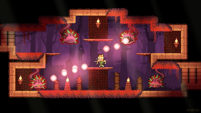 Dunjungle - Premium Edition [GRA SWITCH]