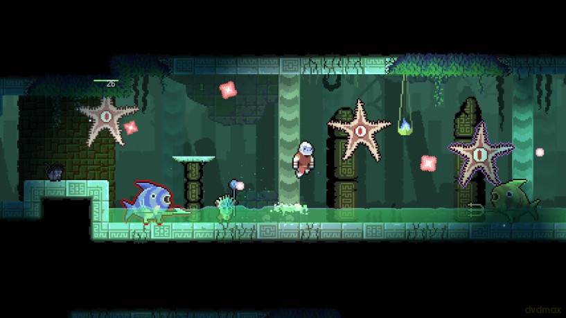Dunjungle - Premium Edition [GRA SWITCH]