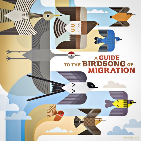 A Guide To The Birdsong Of Migration [CD]