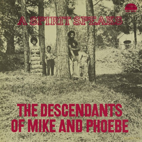 Descendants Of Mike And Phoebe & Bill Lee: A Spirit Speaks [CD]