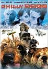 Kevin, władca północy [DVD]