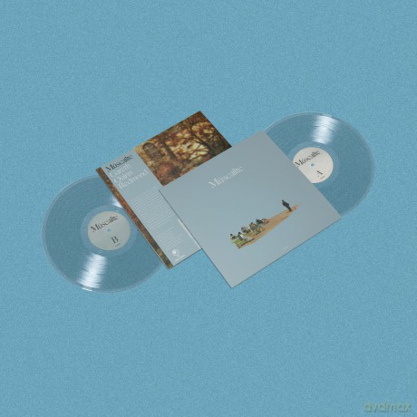 Gareth Redmond Quinn: Muscailte (Ultra Clear Transparent) [Winyl]