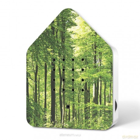 Dżwiękowy domek - Leśna polana forest