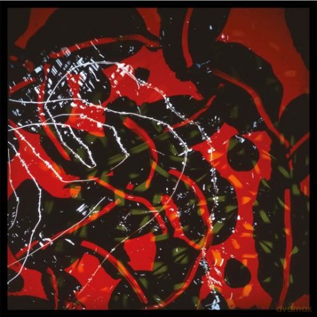 Brian Eno: Nerve Net [2CD]