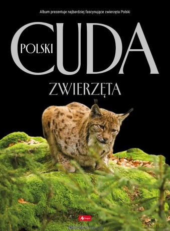 Cuda Polski. Zwierzęta - Łukasz Przybyłowicz [KSIĄŻKA]