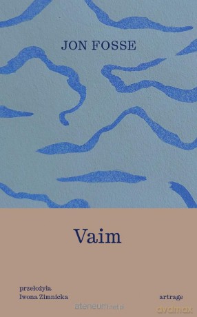 Vaim - John Darnielle [KSIĄŻKA]