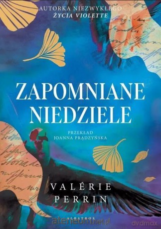 Zapomniane niedziele (barwione brzegi) - Valerie Perrin [KSIĄŻKA]