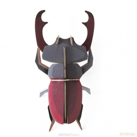 Model kartonowy 3D Wall Art - Beettles. Stag... [PUZZLE]