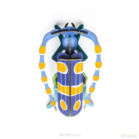 Model kartonowy 3D Wall Art - Beettles. Rosalia [PUZZLE]