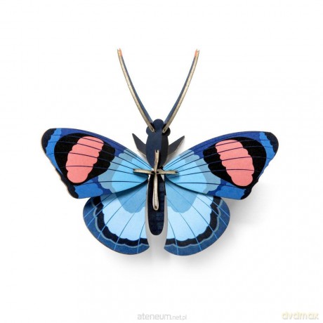 Model kartonowy 3D Wall Art - Peacock Butterfly [PUZZLE]