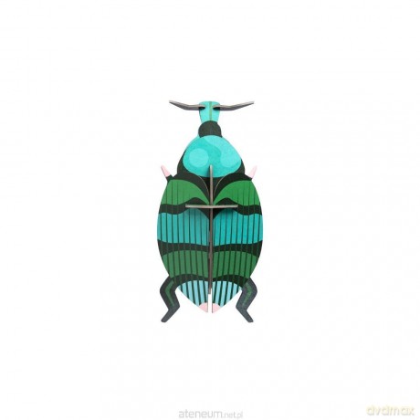 Model kartonowy 3D Wall Art - Beettles. Weevil [PUZZLE]