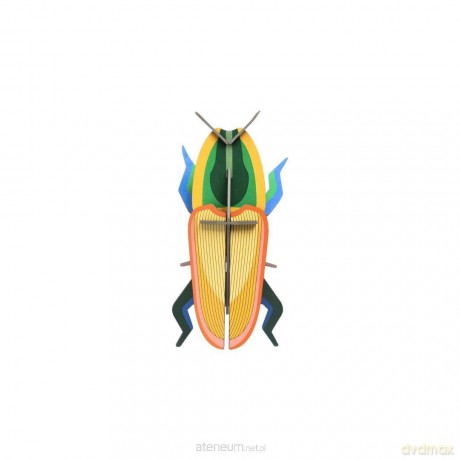 Model kartonowy 3D Wall Art - Beettles. Madagascar [PUZZLE]