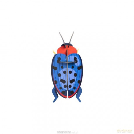 Model kartonowy 3D Wall Art - Beettles. Fungus [PUZZLE]