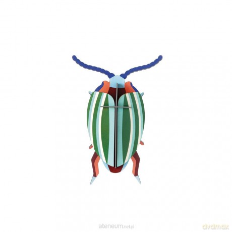 Model kartonowy 3D Wall Art - Beettles. Rainbow... [PUZZLE]