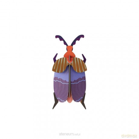 Model kartonowy 3D Wall Art - Beettles. Queen [PUZZLE]