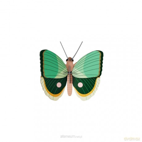 Model kartonowy 3D Wall Art - Fern Striped... [PUZZLE]