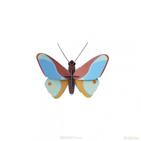 Model kartonowy 3D Wall Art - Claudina Butterfly [PUZZLE]