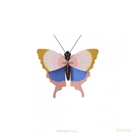 Model kartonowy 3D Wall Art - Gold Rim Butterfly [PUZZLE]