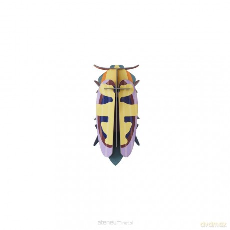 Model kartonowy 3D Wall Art - Beettles. Mango... [PUZZLE]