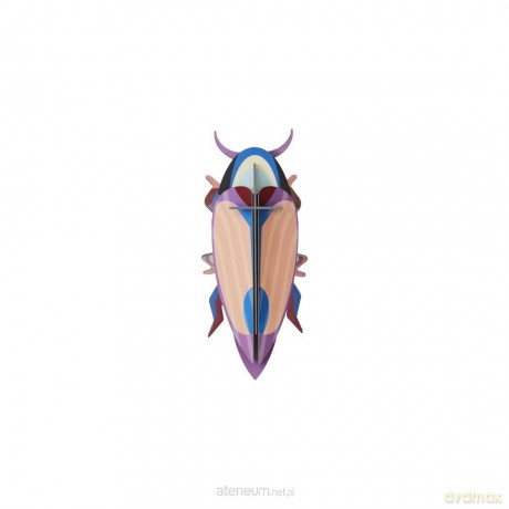 Model kartonowy 3D Wall Art - Beettles. Violet... [PUZZLE]