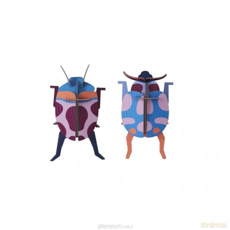 Model kartonowy 3D Wall Art - Beettles. Coccinelle [PUZZLE]