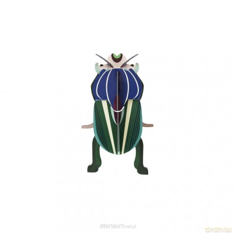 Model kartonowy 3D Wall Art - Beettles. Mimela... [PUZZLE]