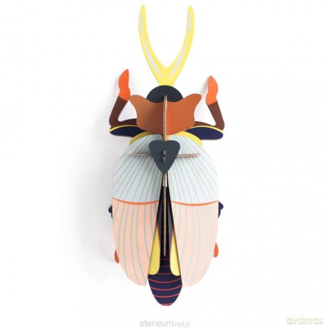 Model kartonowy 3D Wall Art - Beettles. Rhinoceros [PUZZLE]