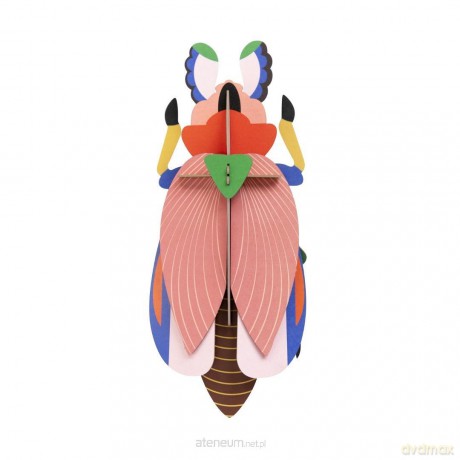 Model kartonowy 3D Wall Art - Beettles. Lady... [PUZZLE]