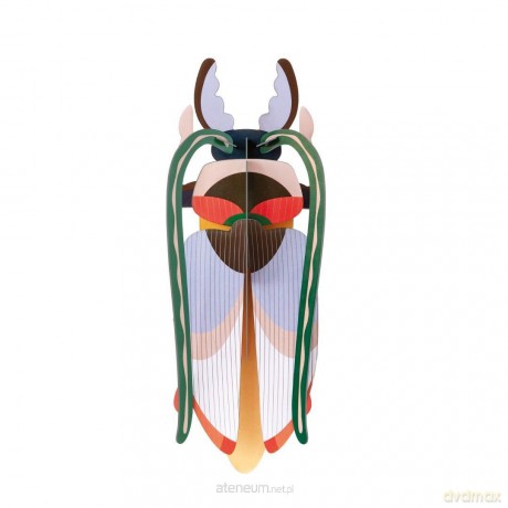 Model kartonowy 3D Wall Art - Beettles. Cosmos [PUZZLE]