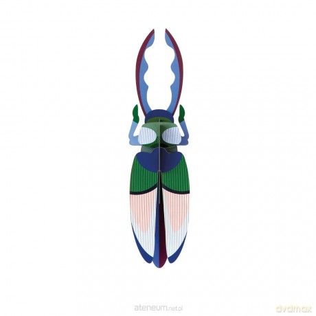Model kartonowy 3D Wall Art - Beettles. Antler [PUZZLE]